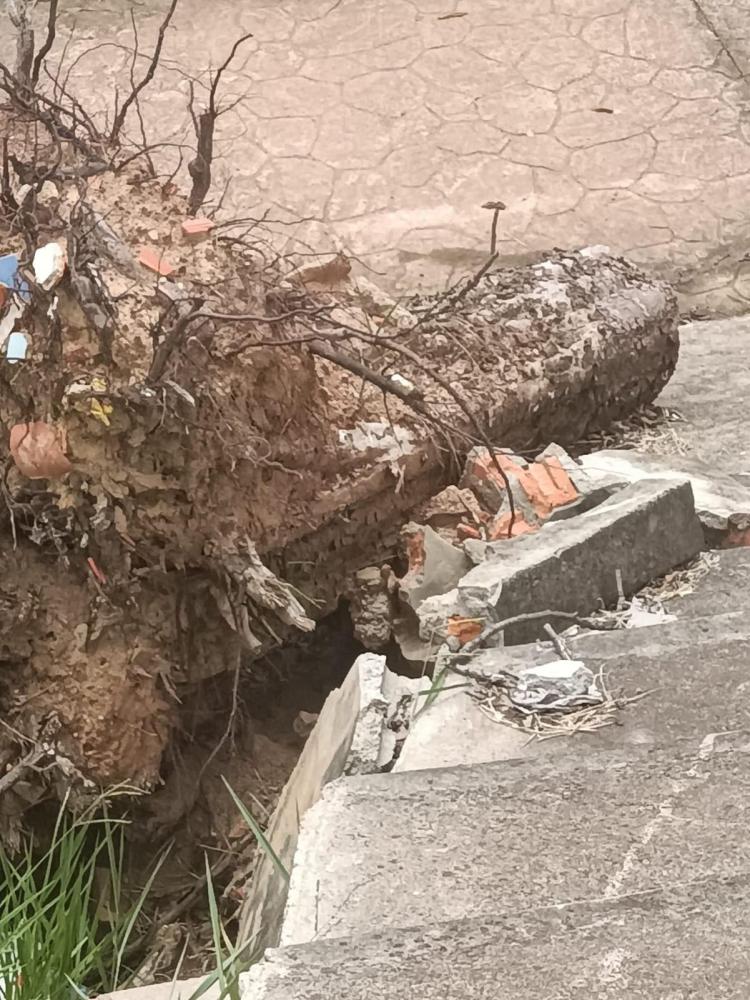 Moradora de Indaiatuba se Revolta com o Descaso da Prefeitura no Parque do Jardim Itamaracá